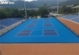 里昂小将刷新队史纪录